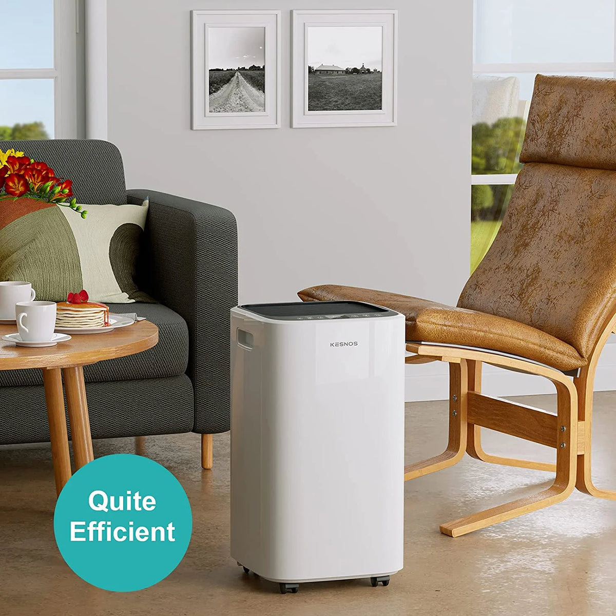 34 Pints 2000 Sq. Ft Dehumidifier with Drain Hose B68470