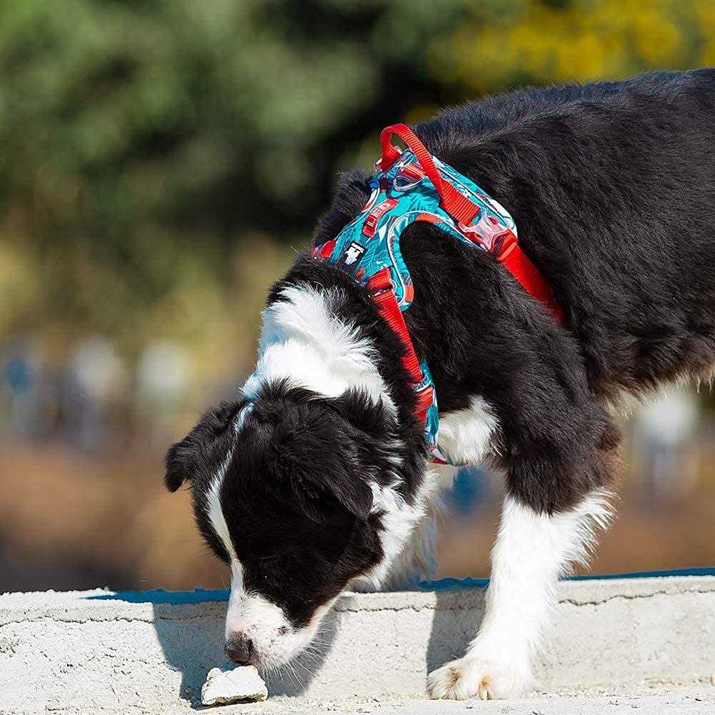 No Pull Dog Harness with Quick-Release Neck Strap K9577