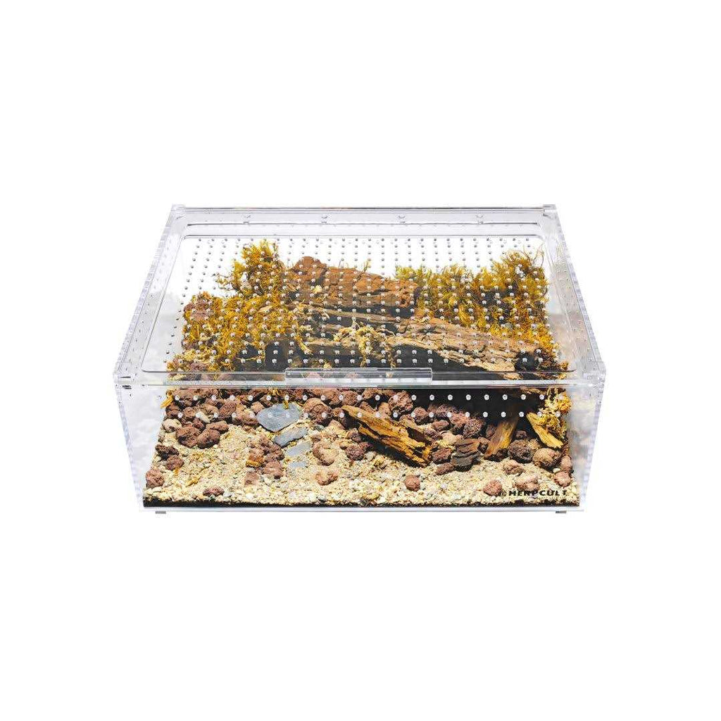 Acrylic Terrarium Extra Large Flat K7819