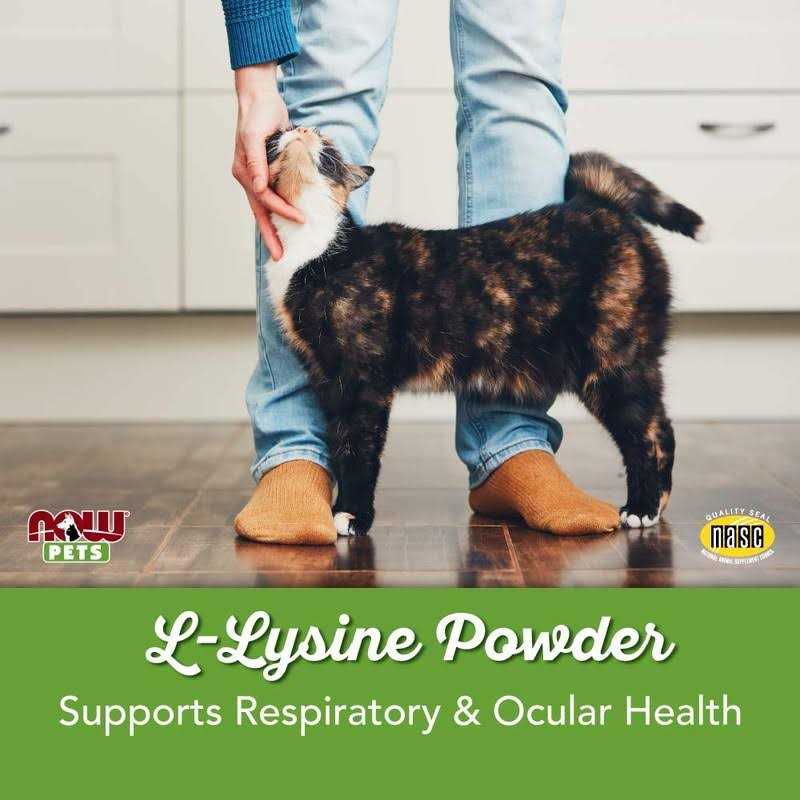 L-Lysine Powder for Cats W783885