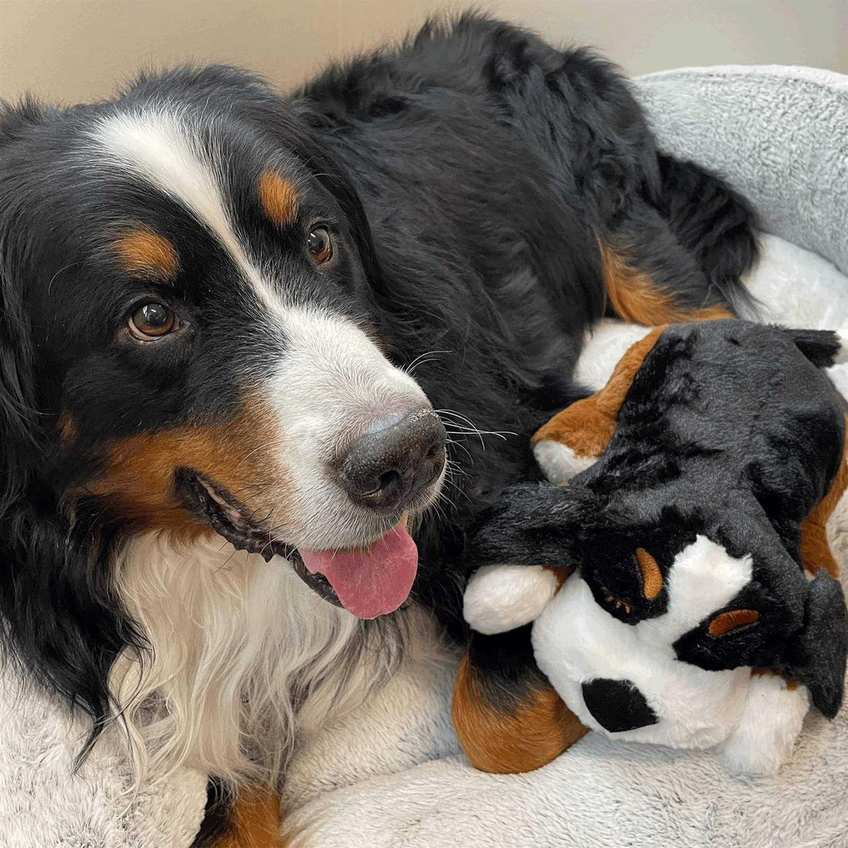 Smart Heartbeat Toy for Pet Anxiety Relief P75710