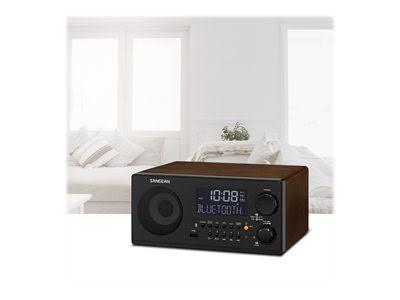 FM-RBDS / AM / USB / Bluetooth Digital Receiver Z221858