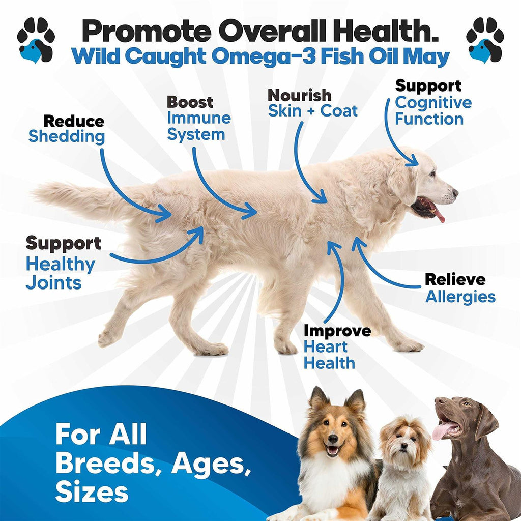 Omega 3 Fish Oil for Dogs O93962
