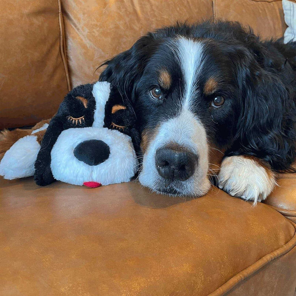 Smart Heartbeat Toy for Pet Anxiety Relief P75710