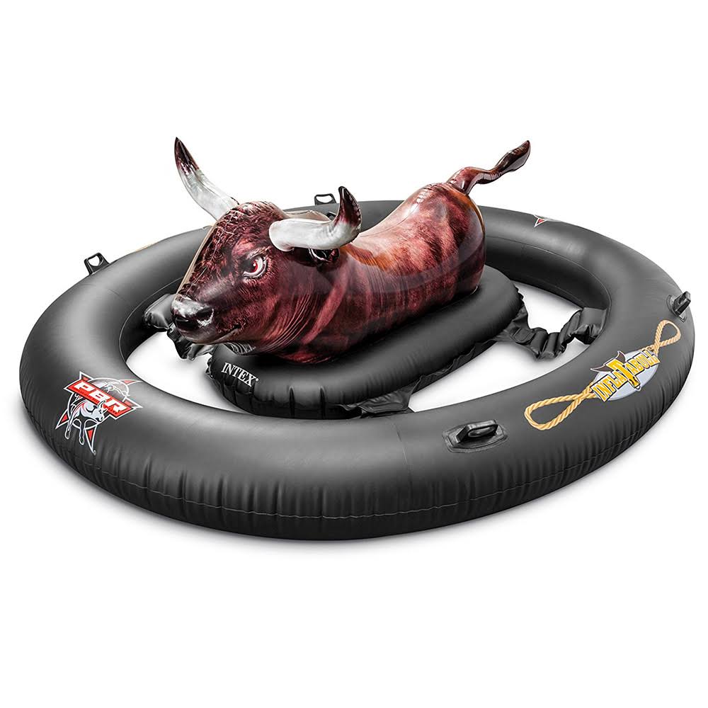 Inflatable Ride-On Pool Toy Z602441