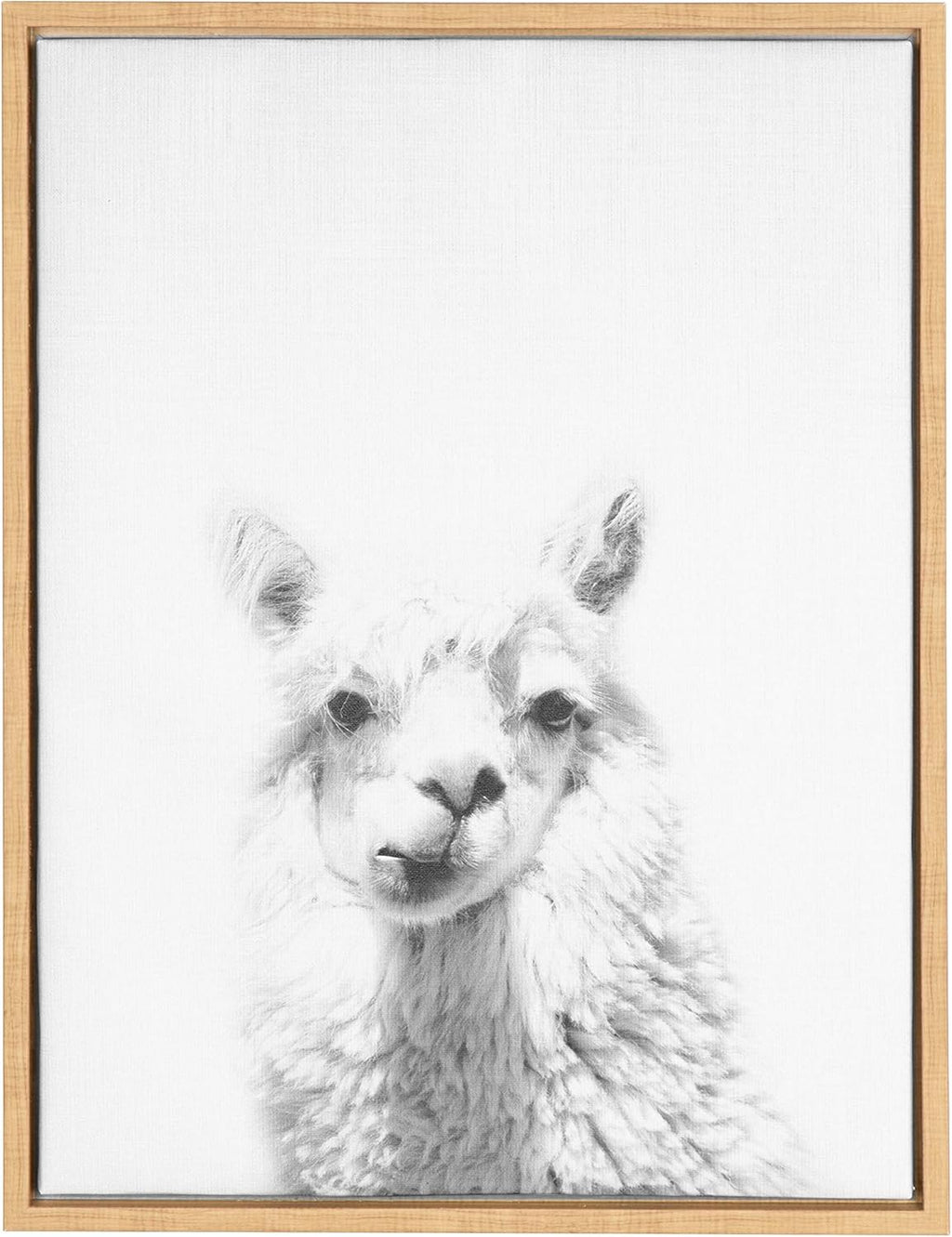 Black and White Framed Canvas Wall Art, 18x24 D3465
