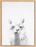 Black and White Framed Canvas Wall Art, 18x24 D3465