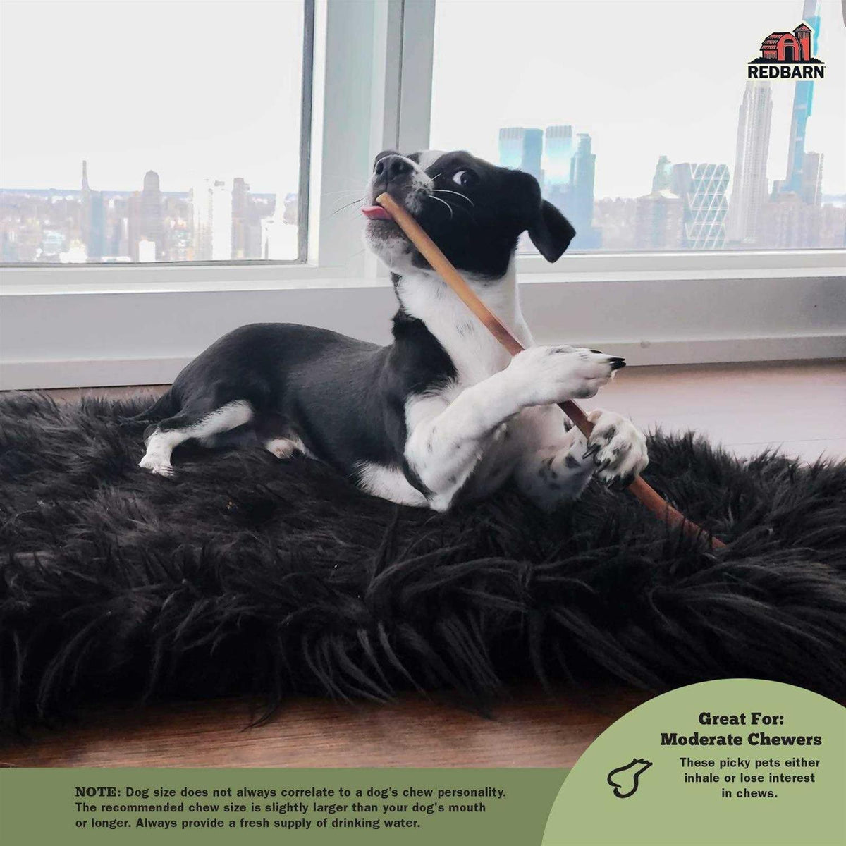 Bully Stick I8862