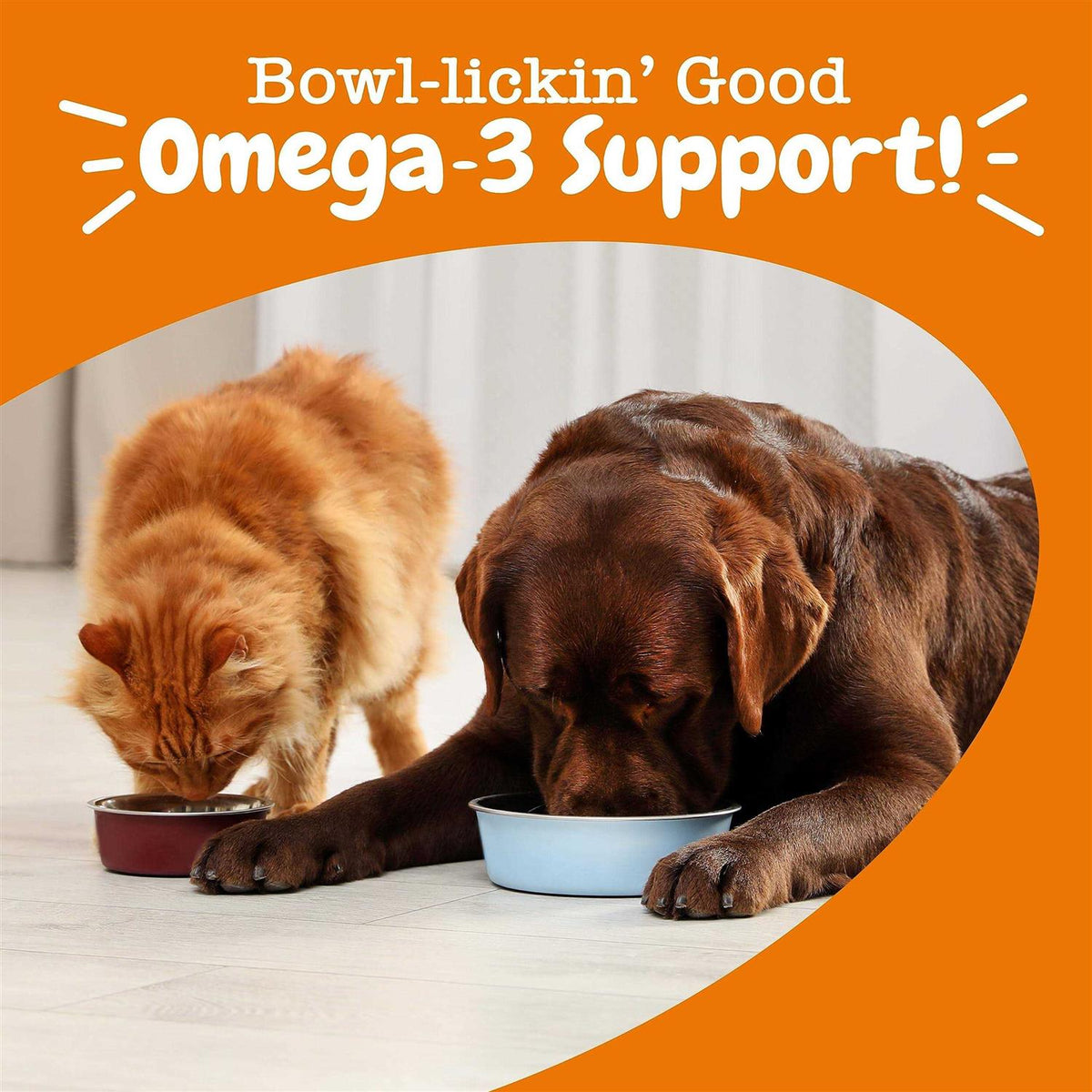Fish Oil for Dogs & Cats X325413