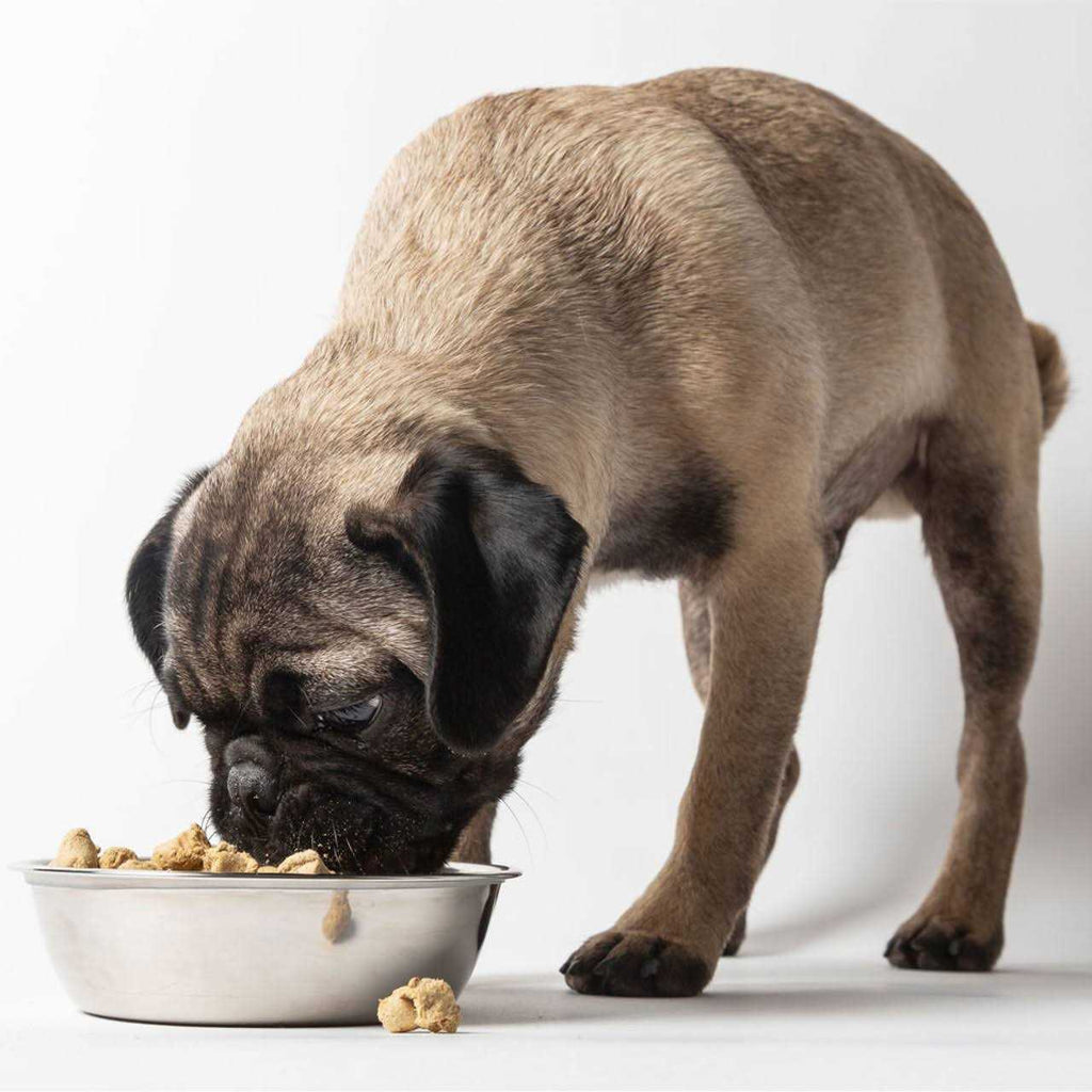 Freeze Dried Raw Nature's Blend Small Breed Dog Food K8254