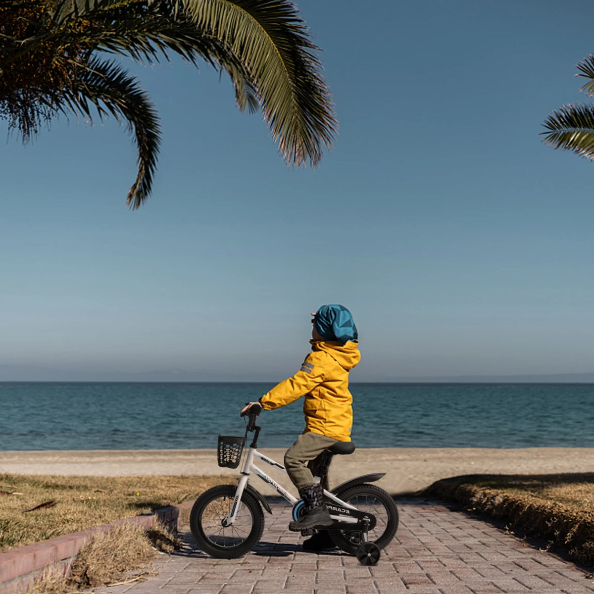 16 inch Kids Bike with Training Wheels, Basket and Fender V750