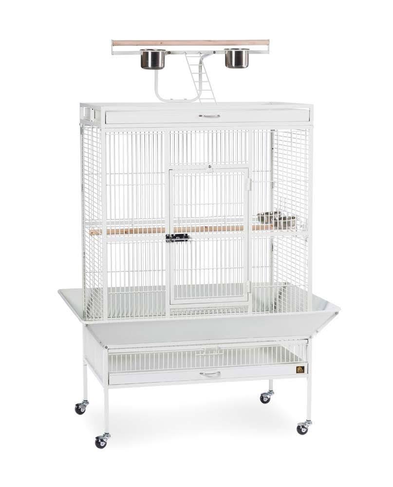 Black Wrought Iron Parrot Cage D21986