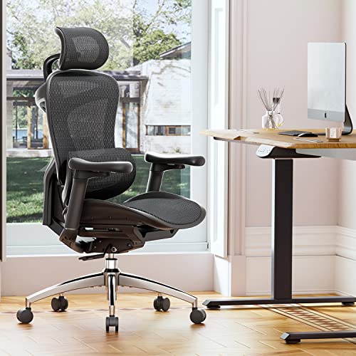 Ergonomic Office Chair with 3D Armrests, Adjustable Backrest, Grey M4877