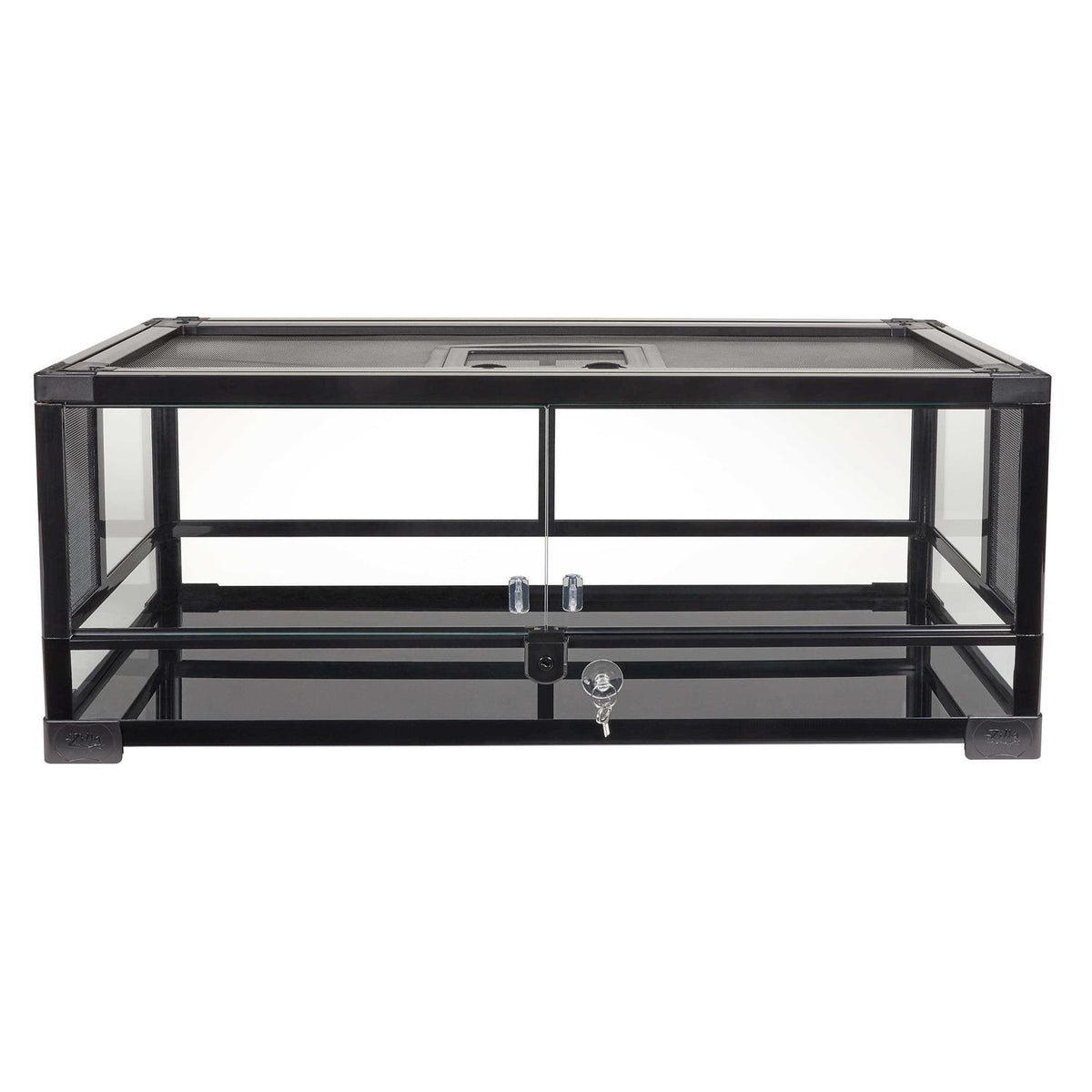 Terrarium B137134