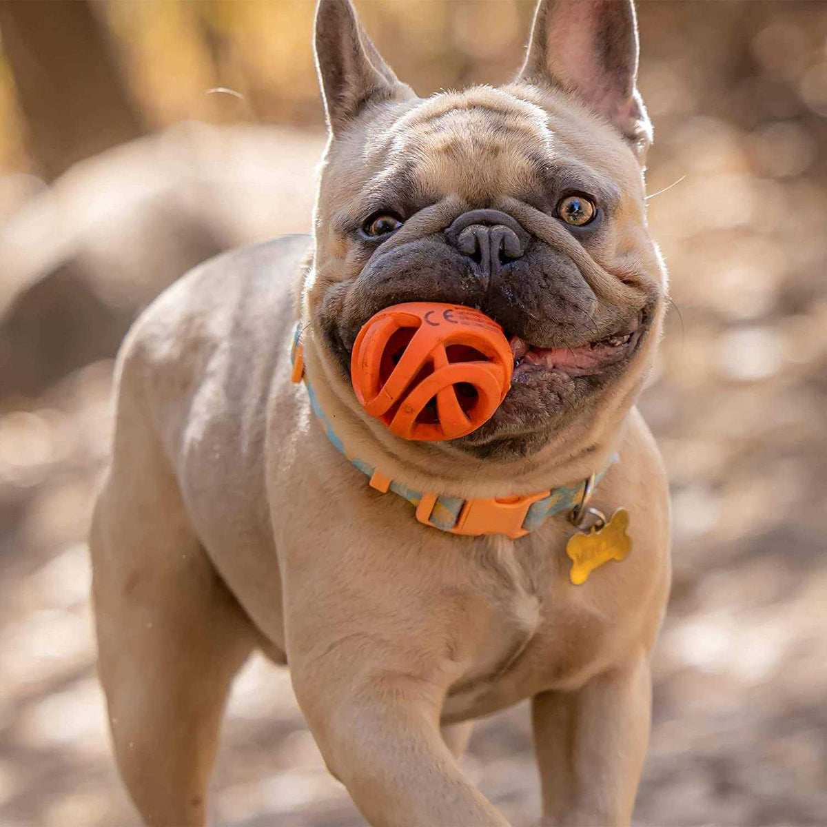 Breathe Right Fetch Ball K1336
