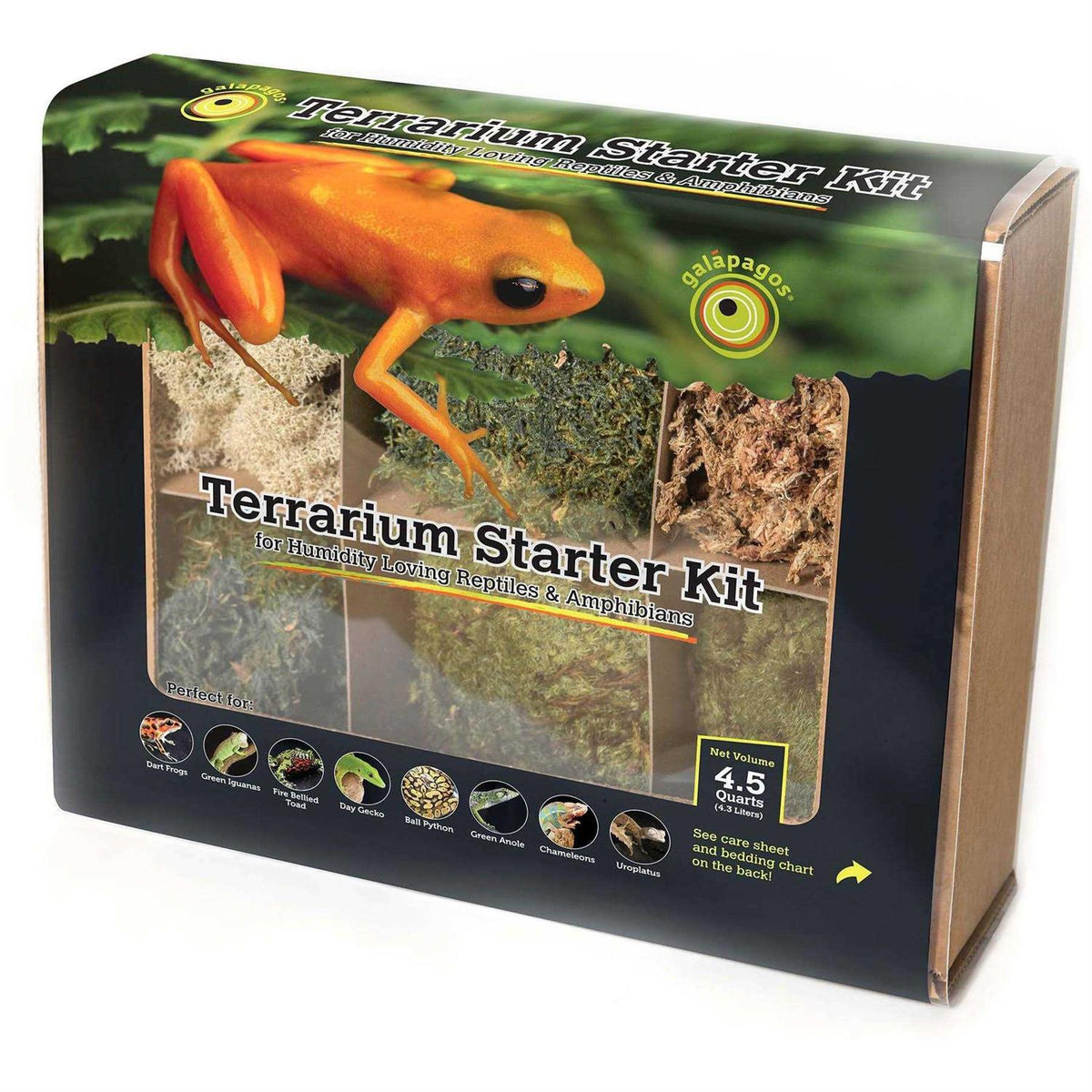 Terrarium Starter Kit T8745