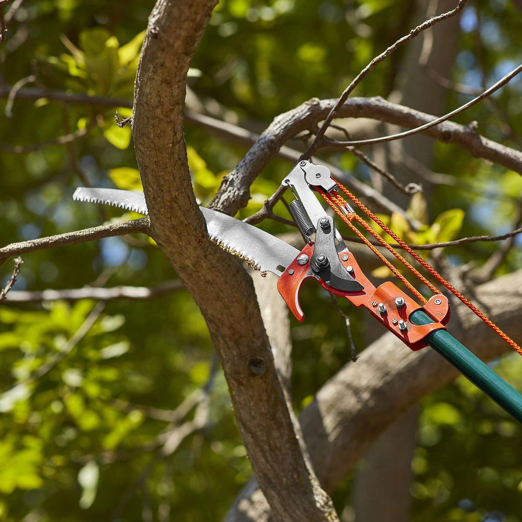 Tree Pruner V98040
