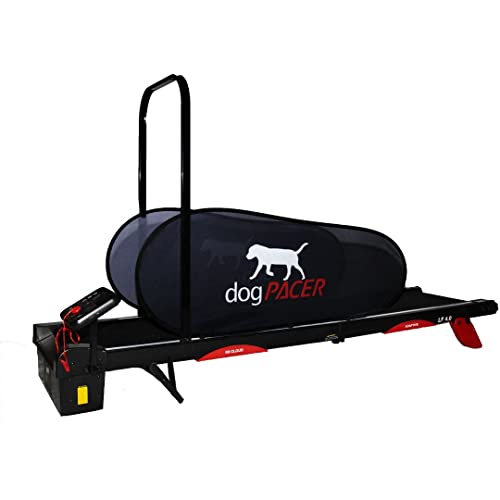 Black Full Size Dog Treadmill B5436