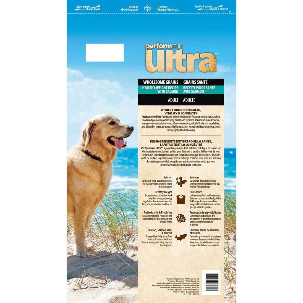 Salmon Adult Dry Dog Food N3946