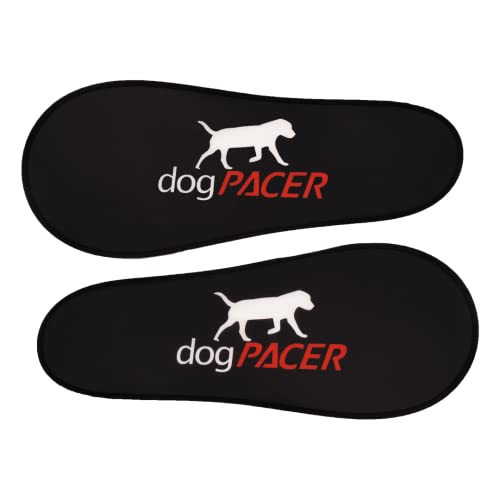 Black Full Size Dog Treadmill B5436