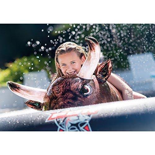 Inflatable Ride-On Pool Toy Z602441