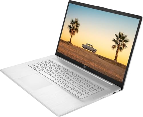 17.3" HD+ Display AMD Ryzen 5 7530U 8GB RAM 256GB SSD Windows 11 Pro Laptop N508264