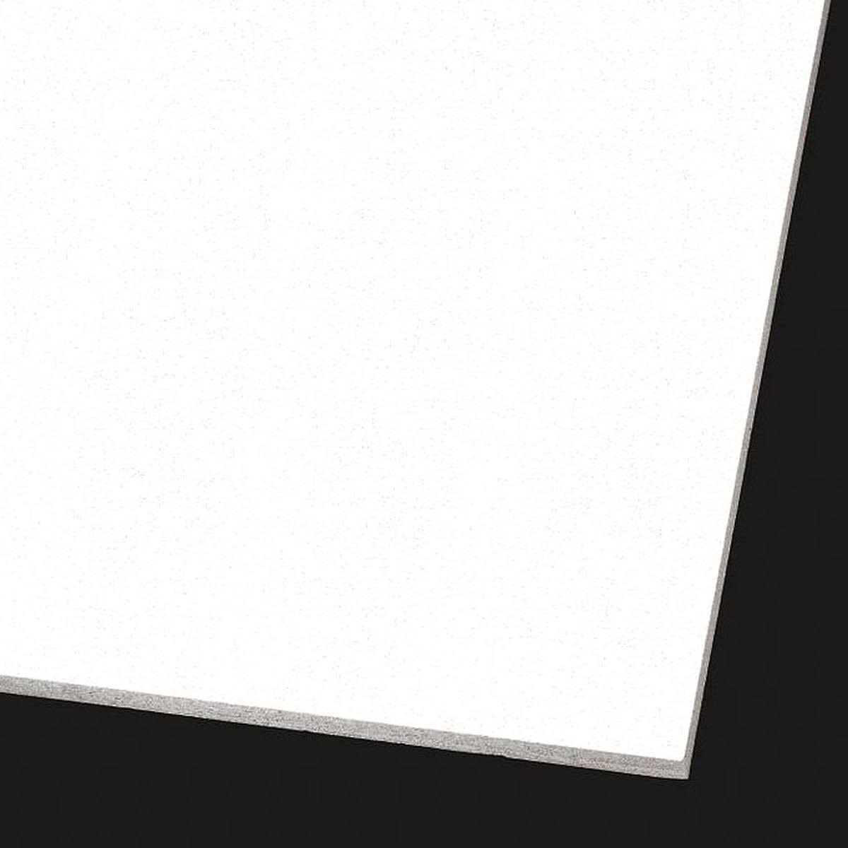 24x22 W x 24x22 L x 3/4x22 Thick Ceiling Tile, pk12 M382