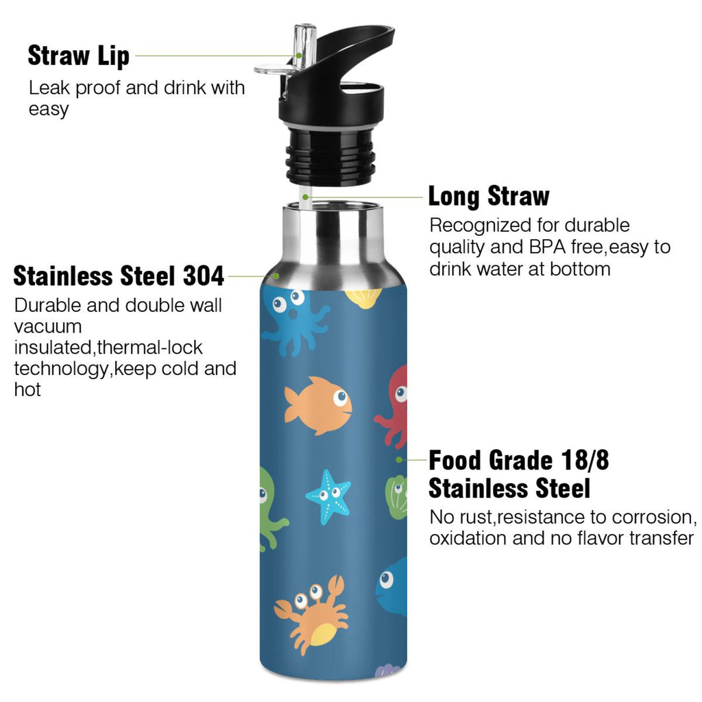 Stainless Steel Insulated Water Bottle with Straw Lid R83574
