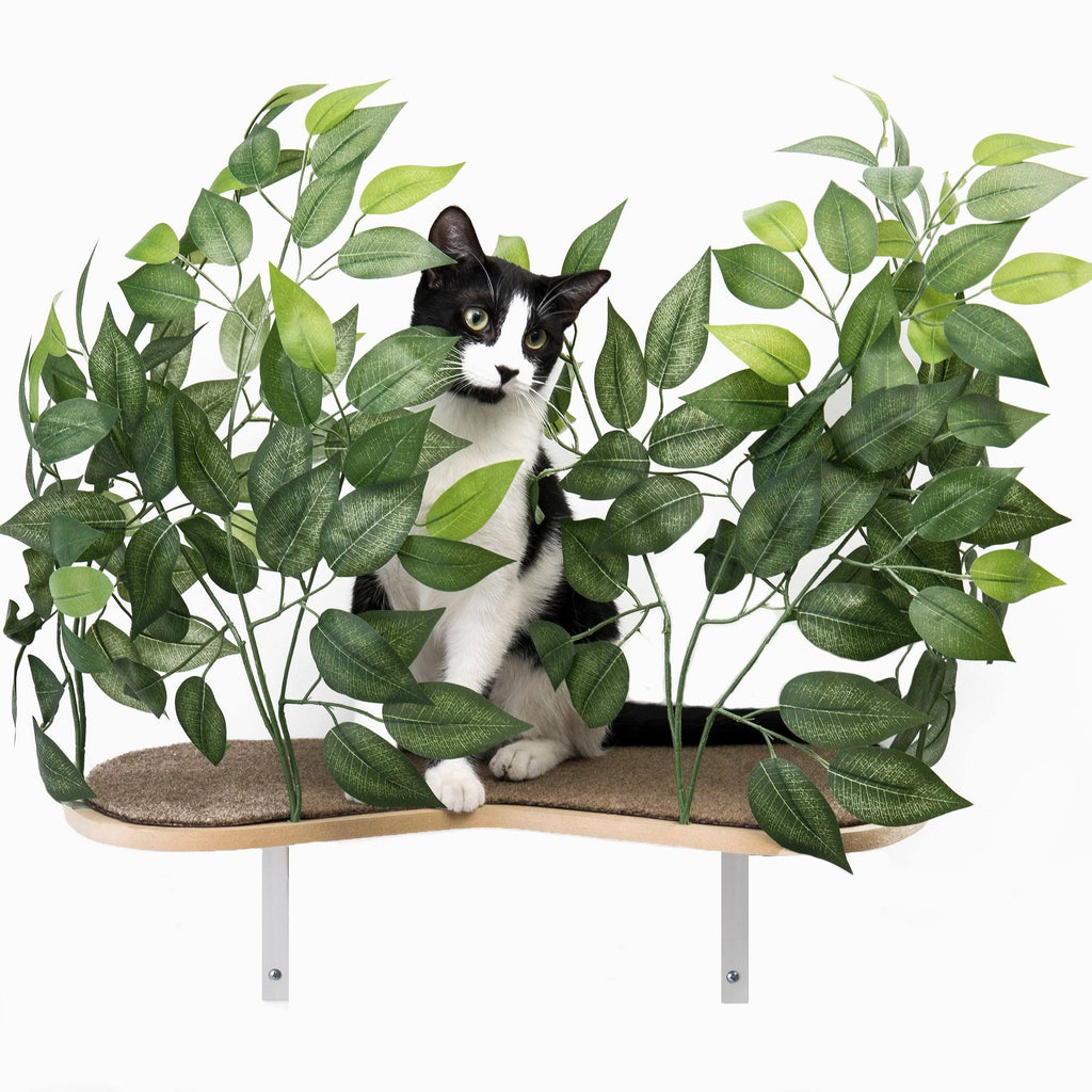Cat Canopy Wall Shelves, 2 Count O102286
