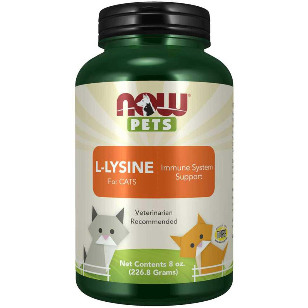 L-Lysine Powder for Cats W783885