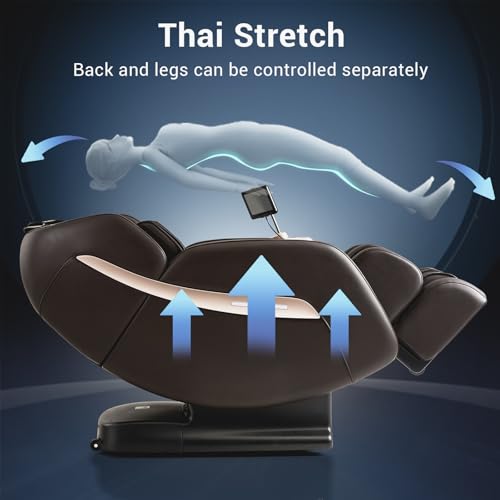 Zero Gravity SL Track Shiatsu Massage Recliner Chair with Heat L750