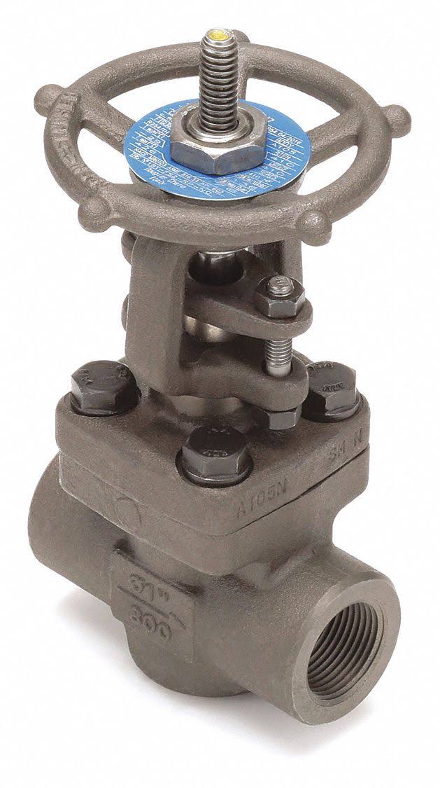 2 in Carbon Steel FNPT Gate Valve E28036