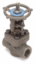2 in Carbon Steel FNPT Gate Valve E28036