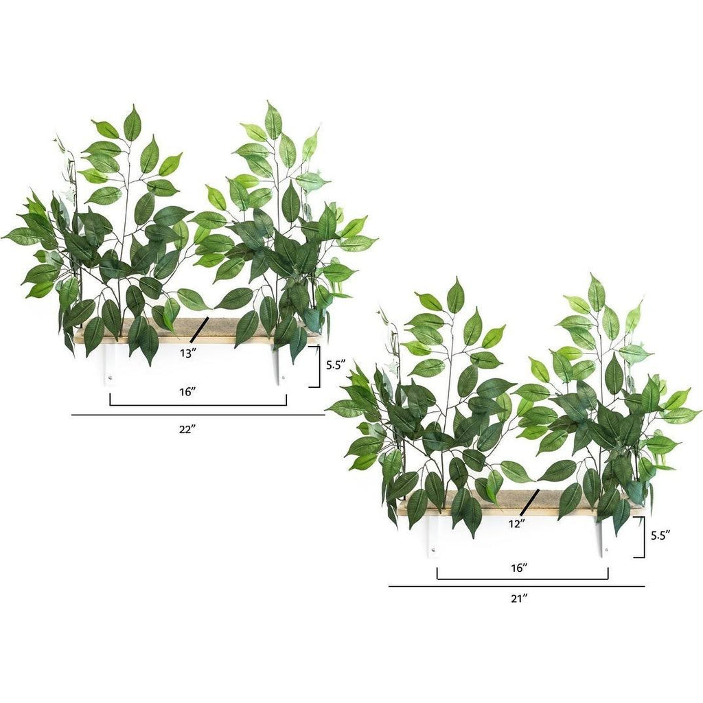 Cat Canopy Wall Shelves, 2 Count O102286