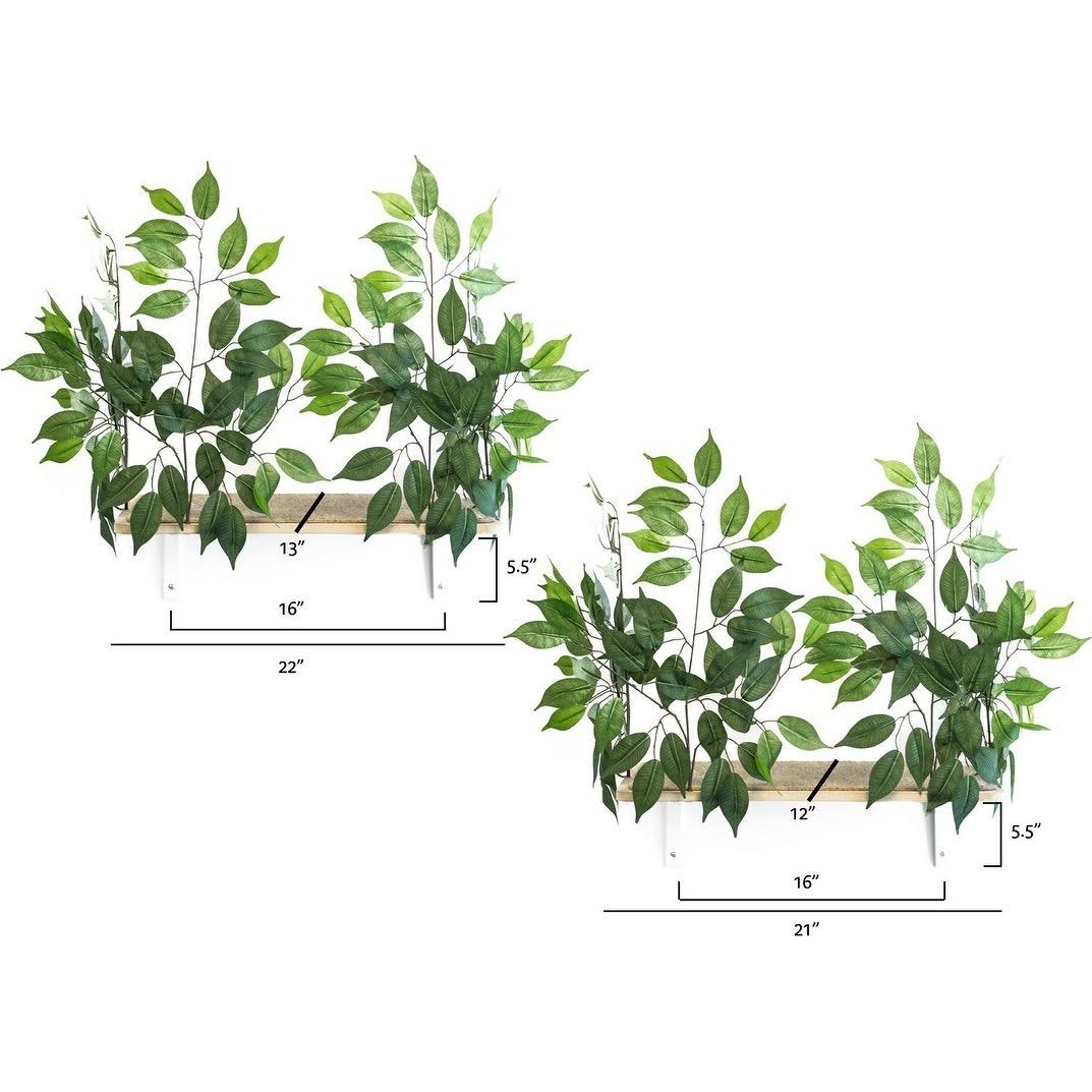 Cat Canopy Wall Shelves, 2 Count O102286