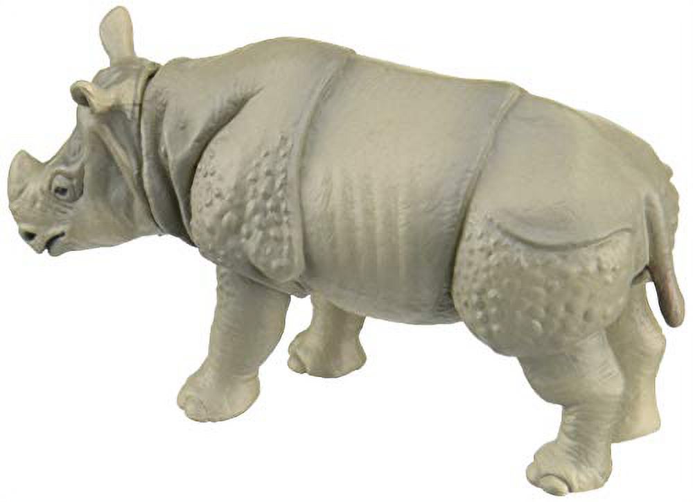 Indian Rhinoceros D8583