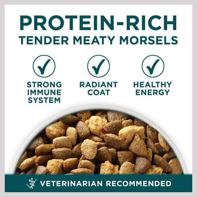 Large Breed Dry Puppy Food L5621