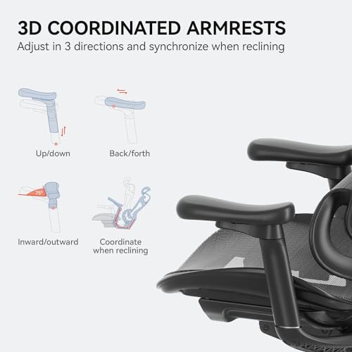 Ergonomic Office Chair with 3D Armrests, Adjustable Backrest, Grey M4877