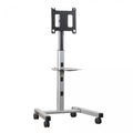 Flat Panel Mobile Cart Y506