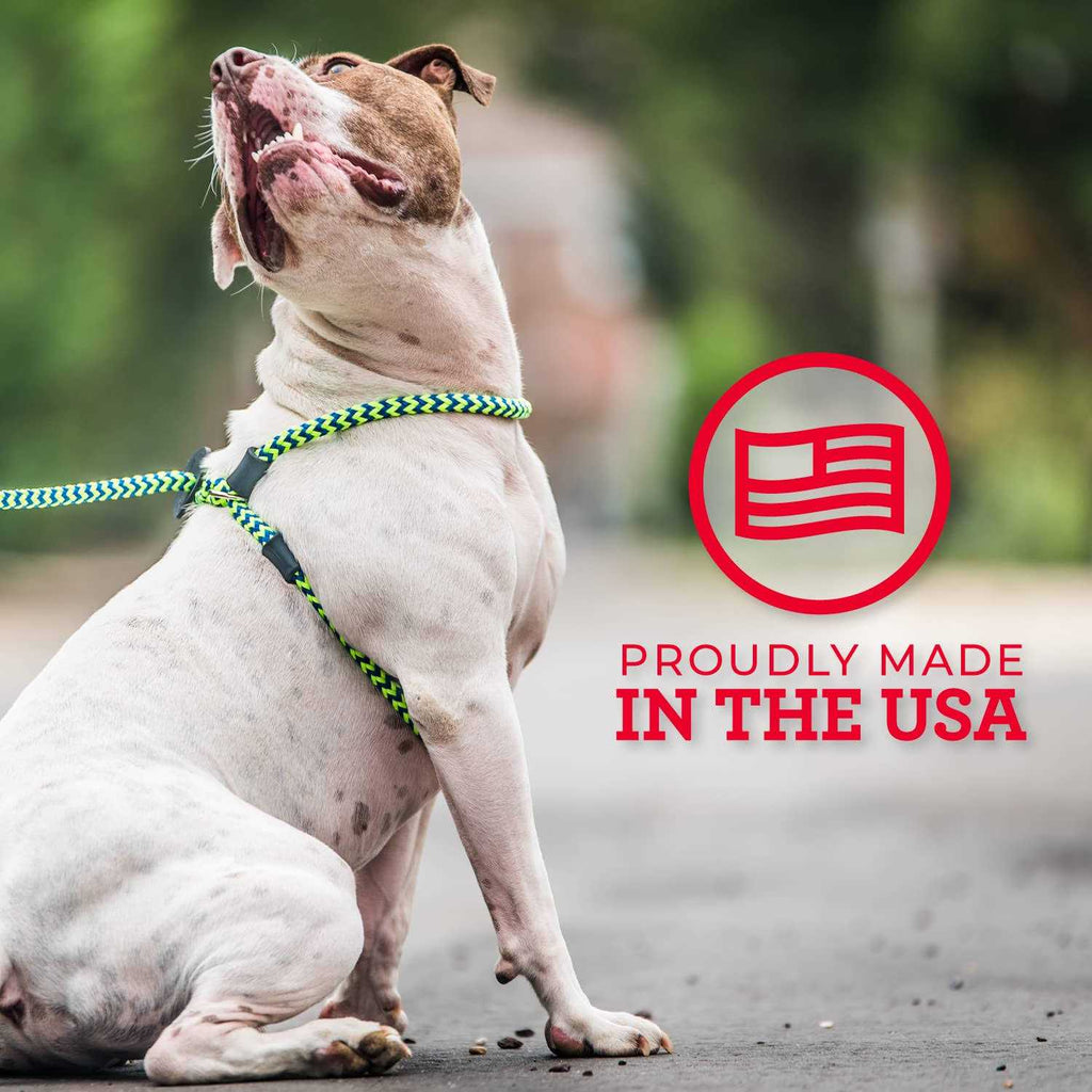 Dog Harness T674626