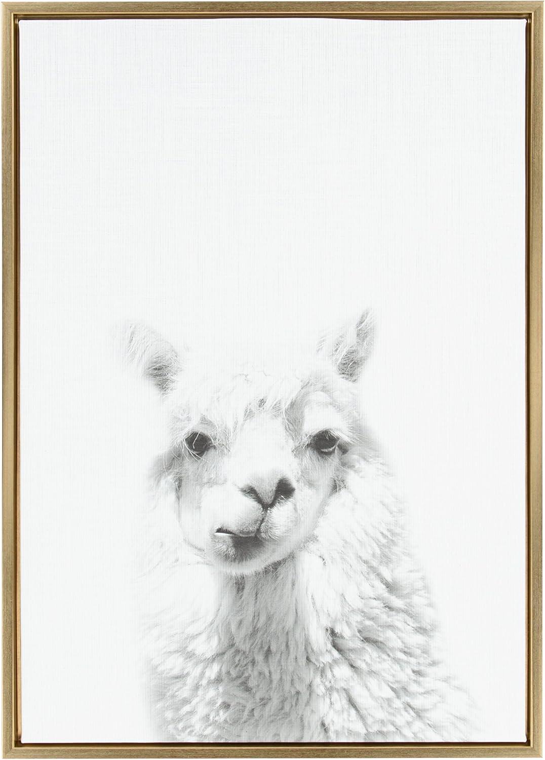 Black and White Framed Canvas Wall Art, 18x24 D3465