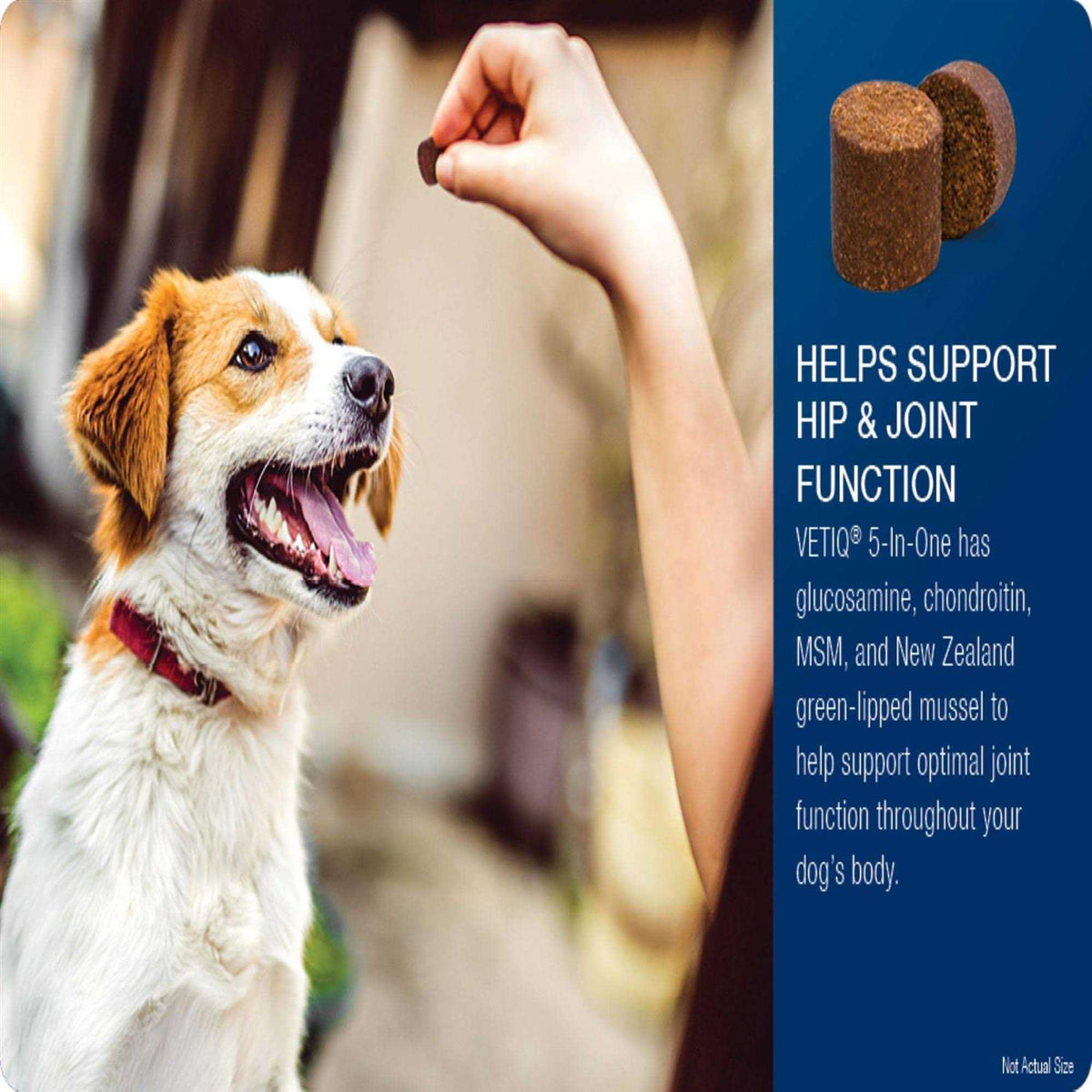 Soft Chews for Dogs K766
