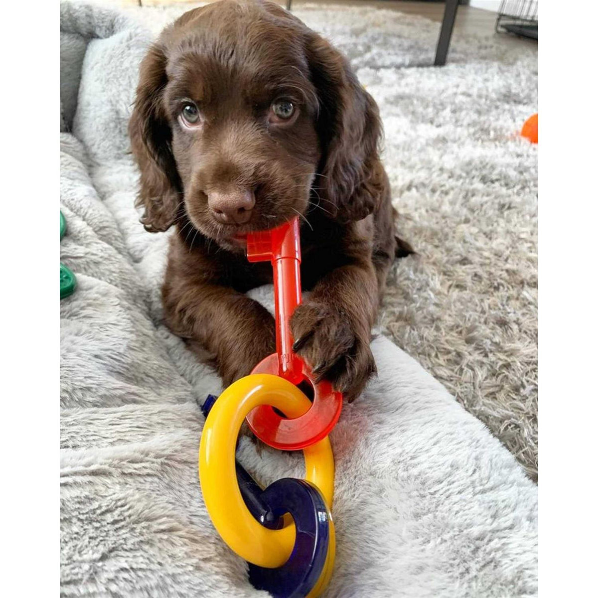 Puppy Chew Teething Keys U355