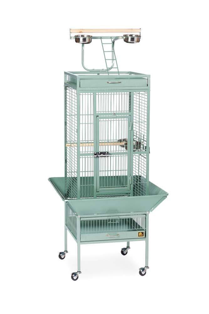 Black Wrought Iron Parrot Cage D21986