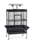 Black Wrought Iron Parrot Cage D21986