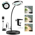 10X Magnifying Glass with Light and Stand, White U6932