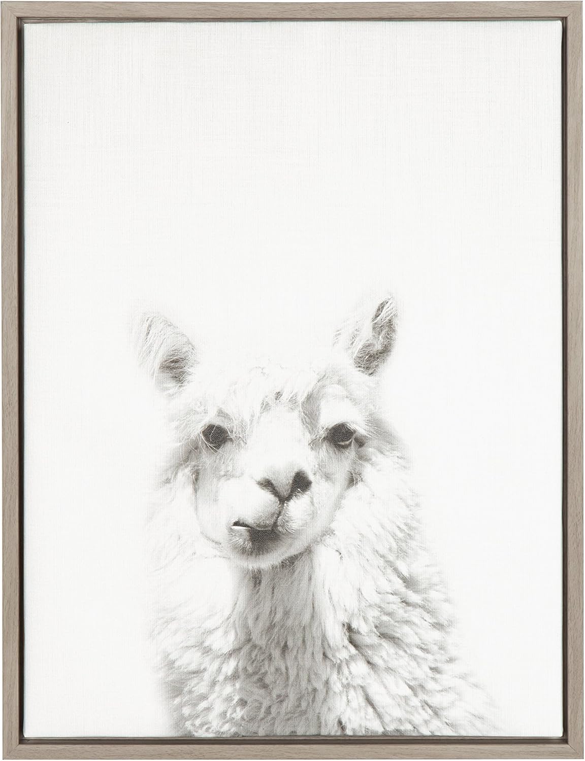 Black and White Framed Canvas Wall Art, 18x24 D3465