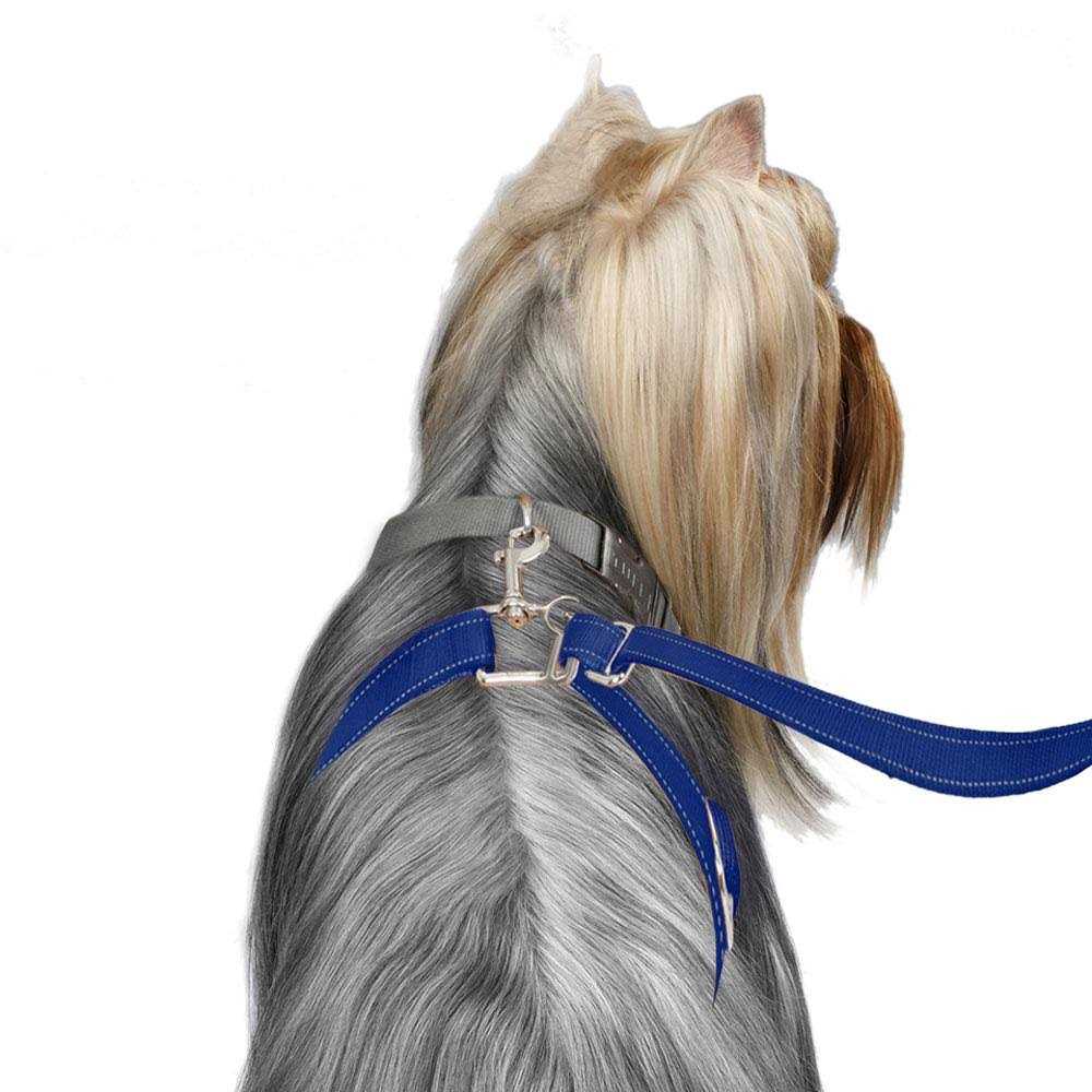 Dog Leash D921