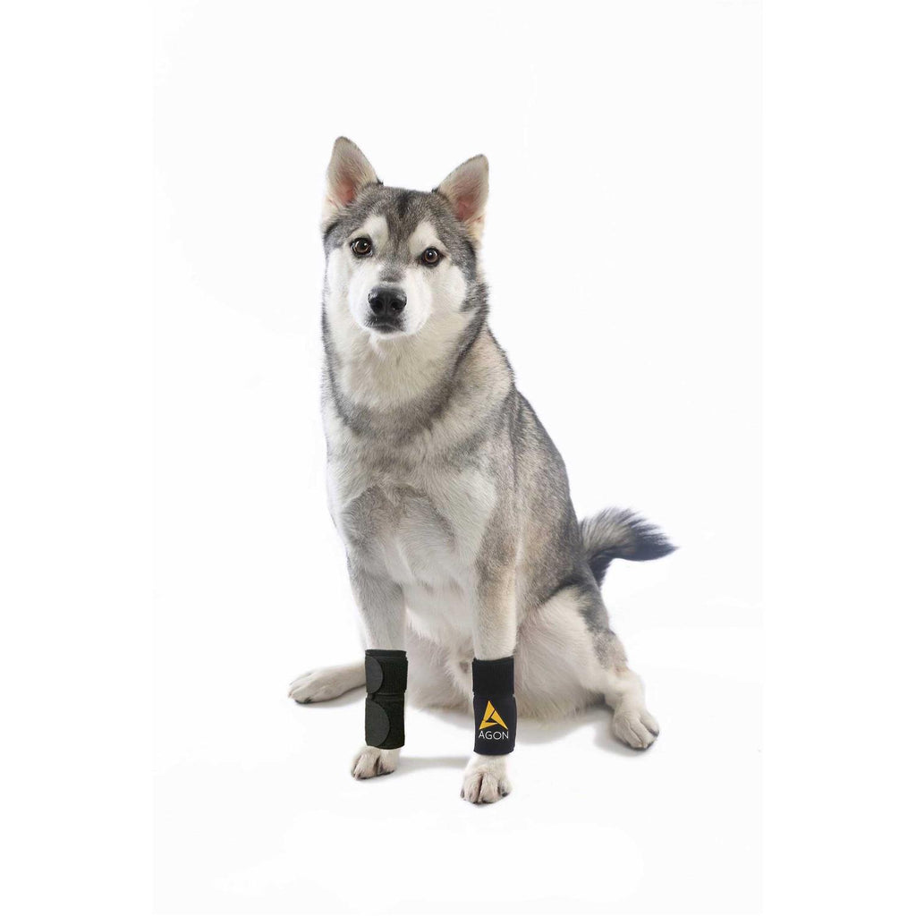 Dog Front Leg Brace Paw Compression Wraps T988034