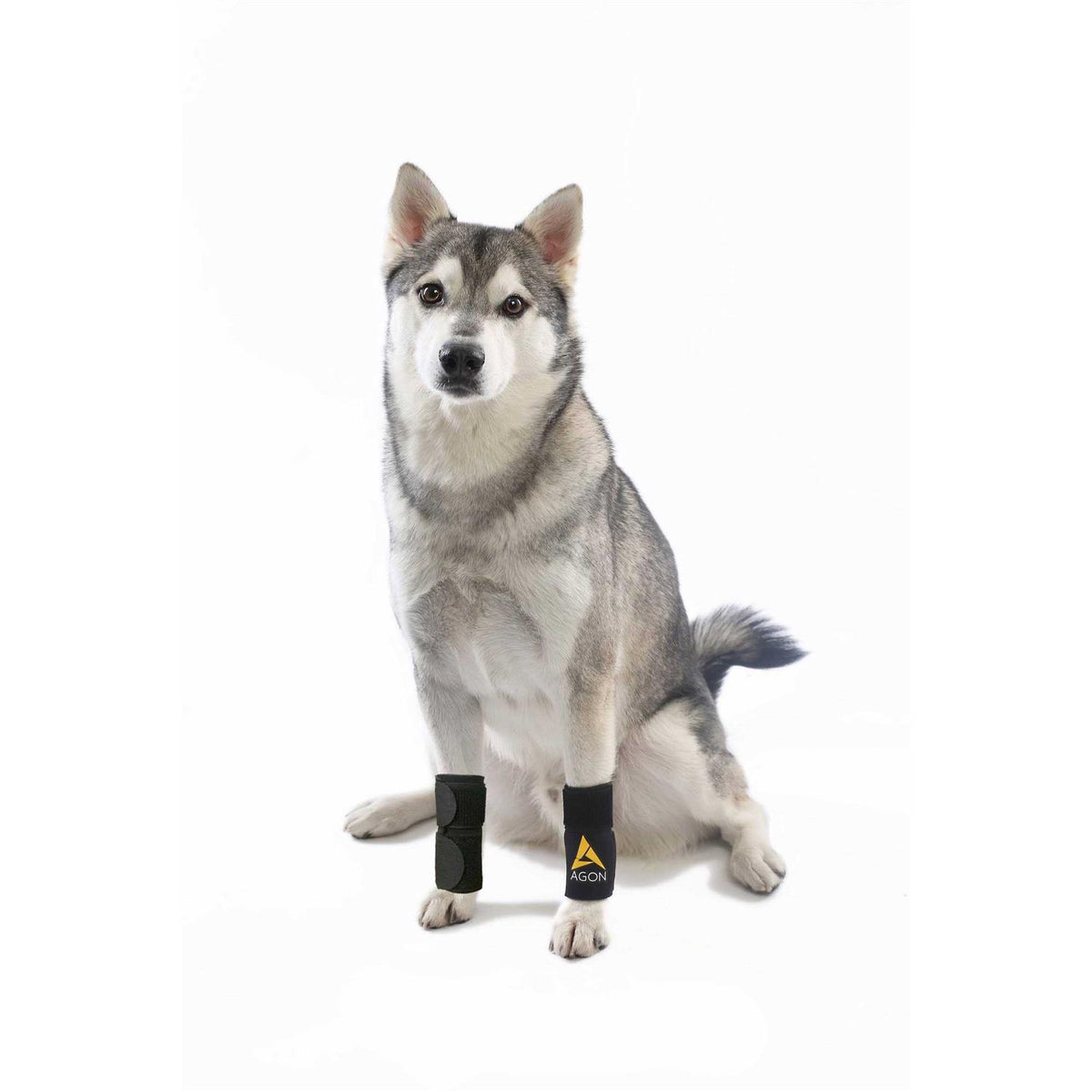 Dog Front Leg Brace Paw Compression Wraps T988034